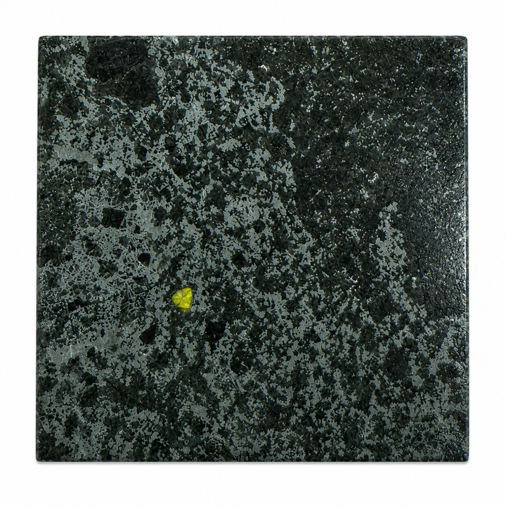 Authentic Tanezrouft 091 mesosiderite meteorite polished to reveal contrasting iron-nickel alloy and silicate minerals on a white background.
