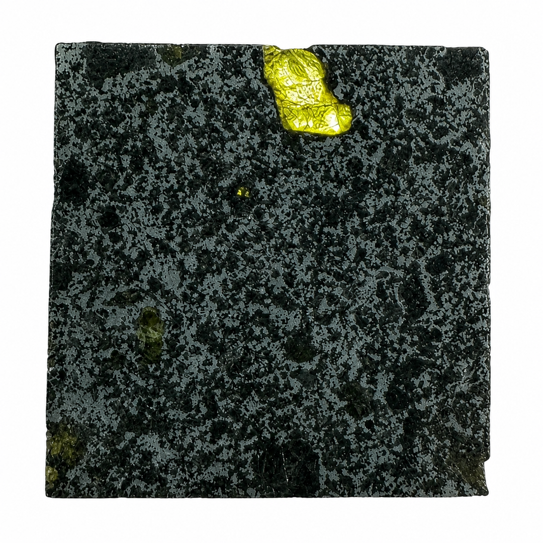 Collector-grade Tanezrouft 091 mesosiderite meteorite with polished surface revealing mixed metallic and silicate textures on a white background.