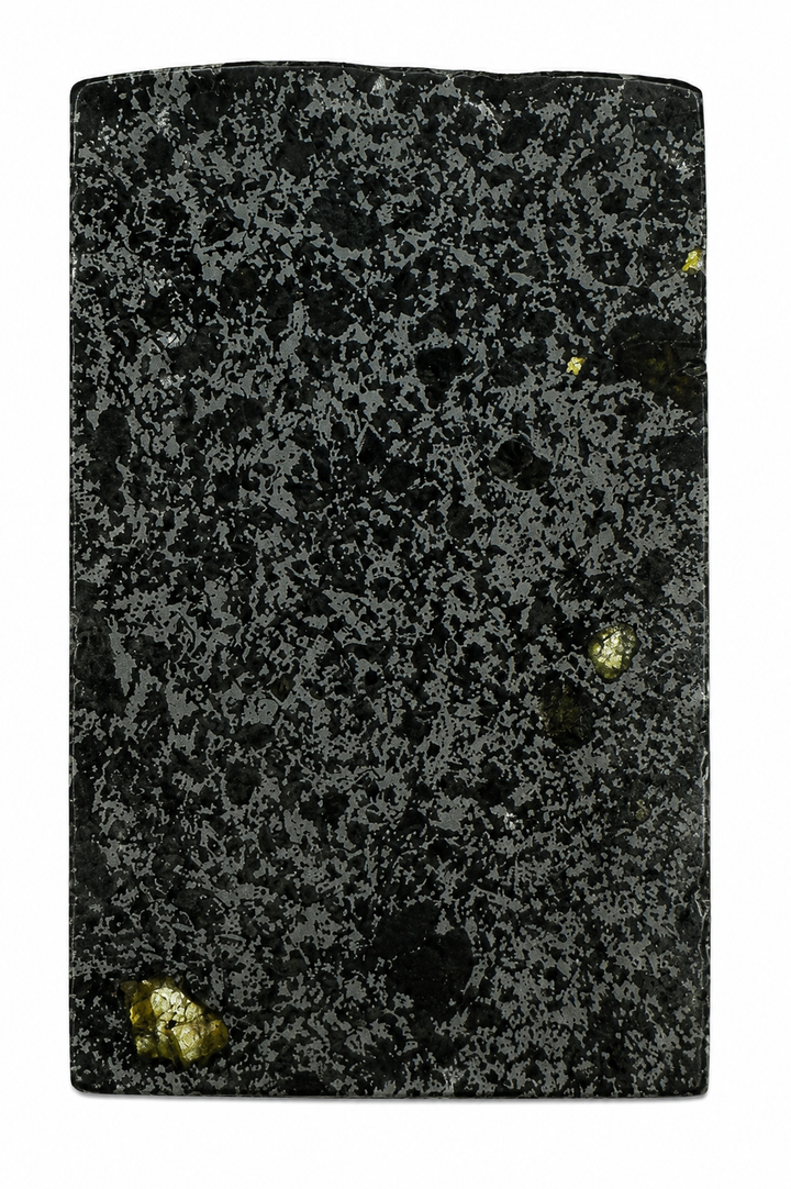 Individual polished Tanezrouft 091 mesosiderite meteorite specimen displaying silicate minerals within an iron-nickel matrix on a white background.