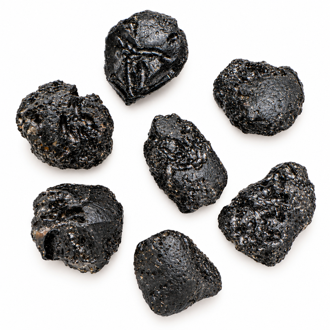 GeoFossils 8g Tibetan Tektite specimens with a black textured surface and rounded natural formations on a white background.