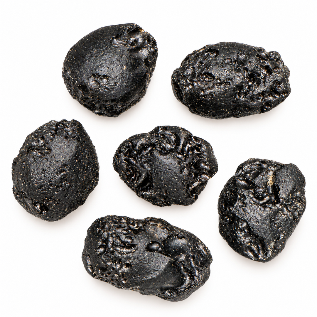 GeoFossils 9g Tibetan Tektite specimens displaying natural surface pits and a dark glassy appearance on a white background.