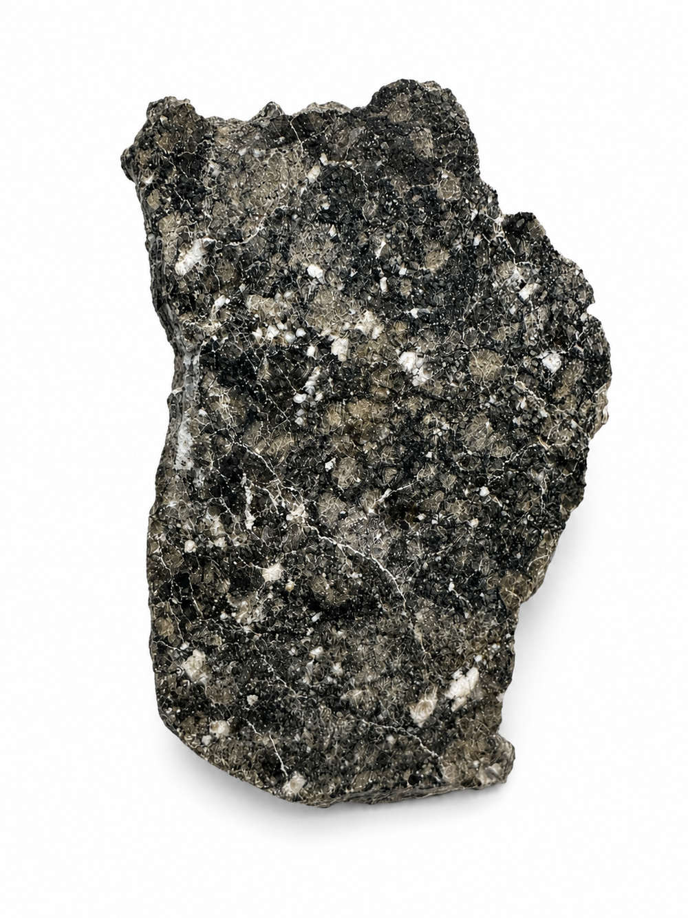 Polished Timimoun 002 diogenite meteorite slice on a white background.