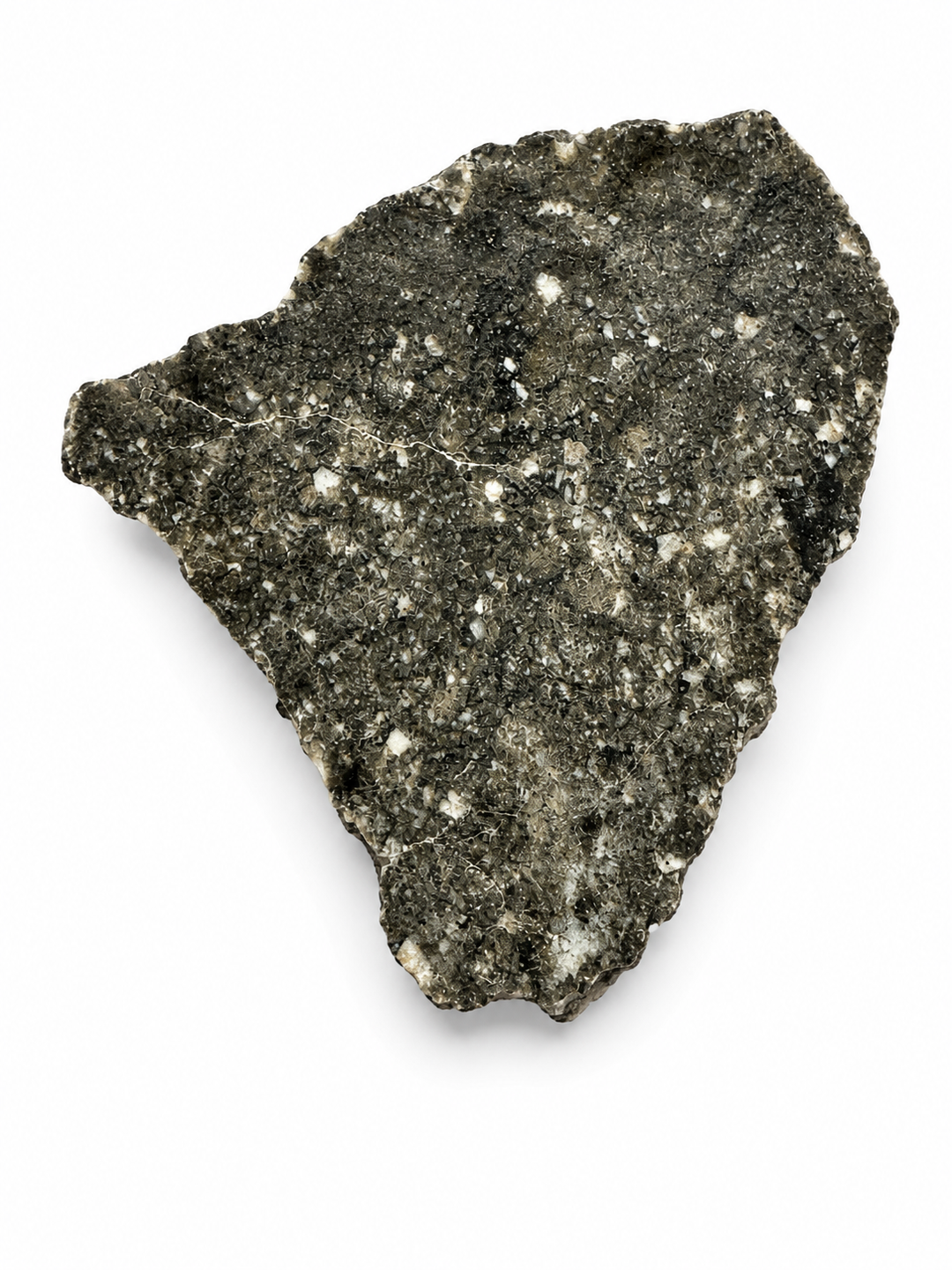 Timimoun 002 diogenite slice revealing its natural internal structure.