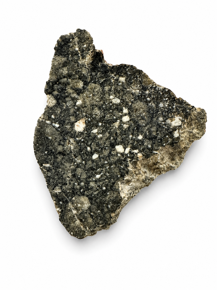 Collector-grade Timimoun 002 polished meteorite specimen.