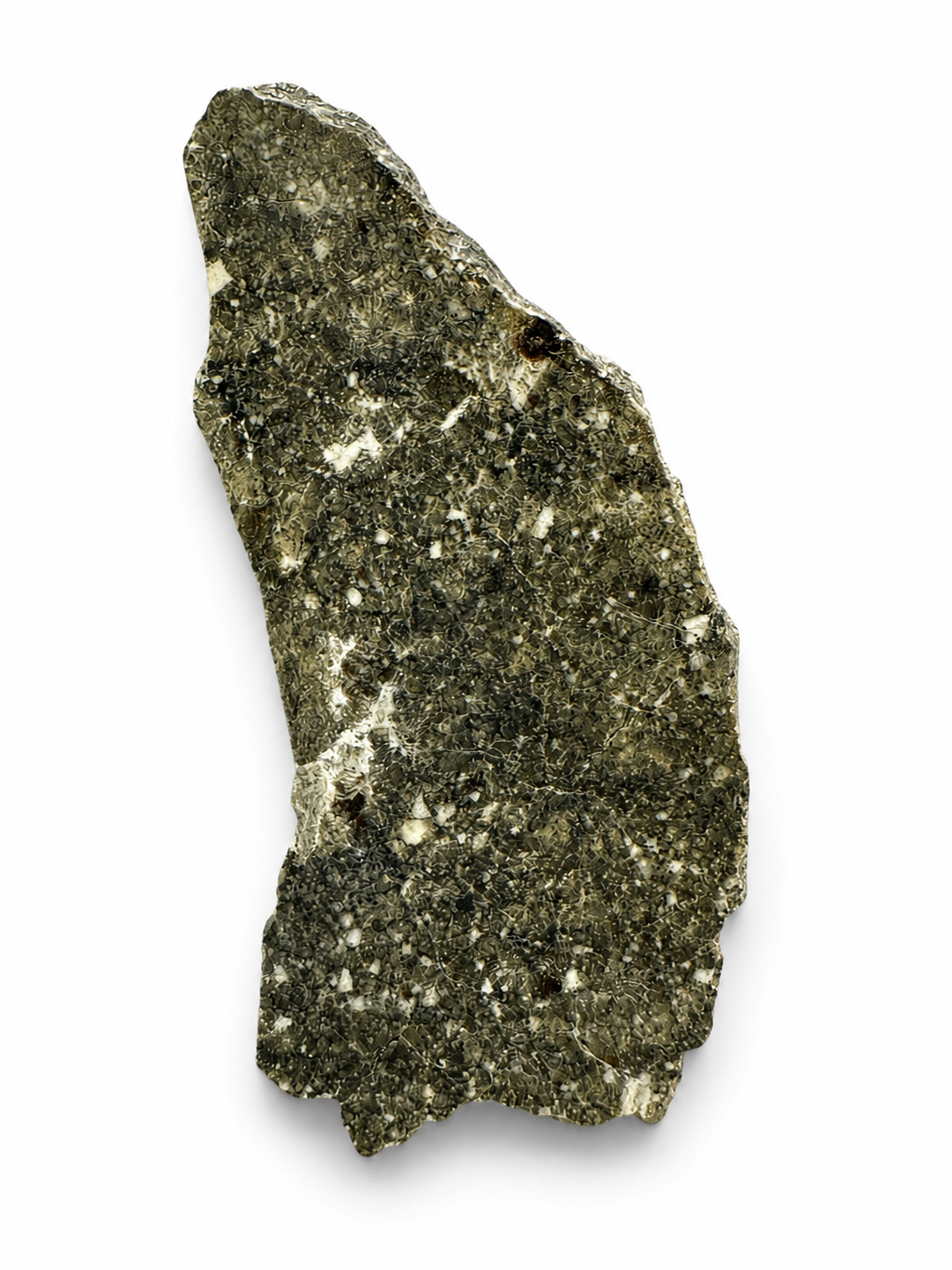 Rare polished HED meteorite slice displaying orthopyroxene-rich mineralogy.