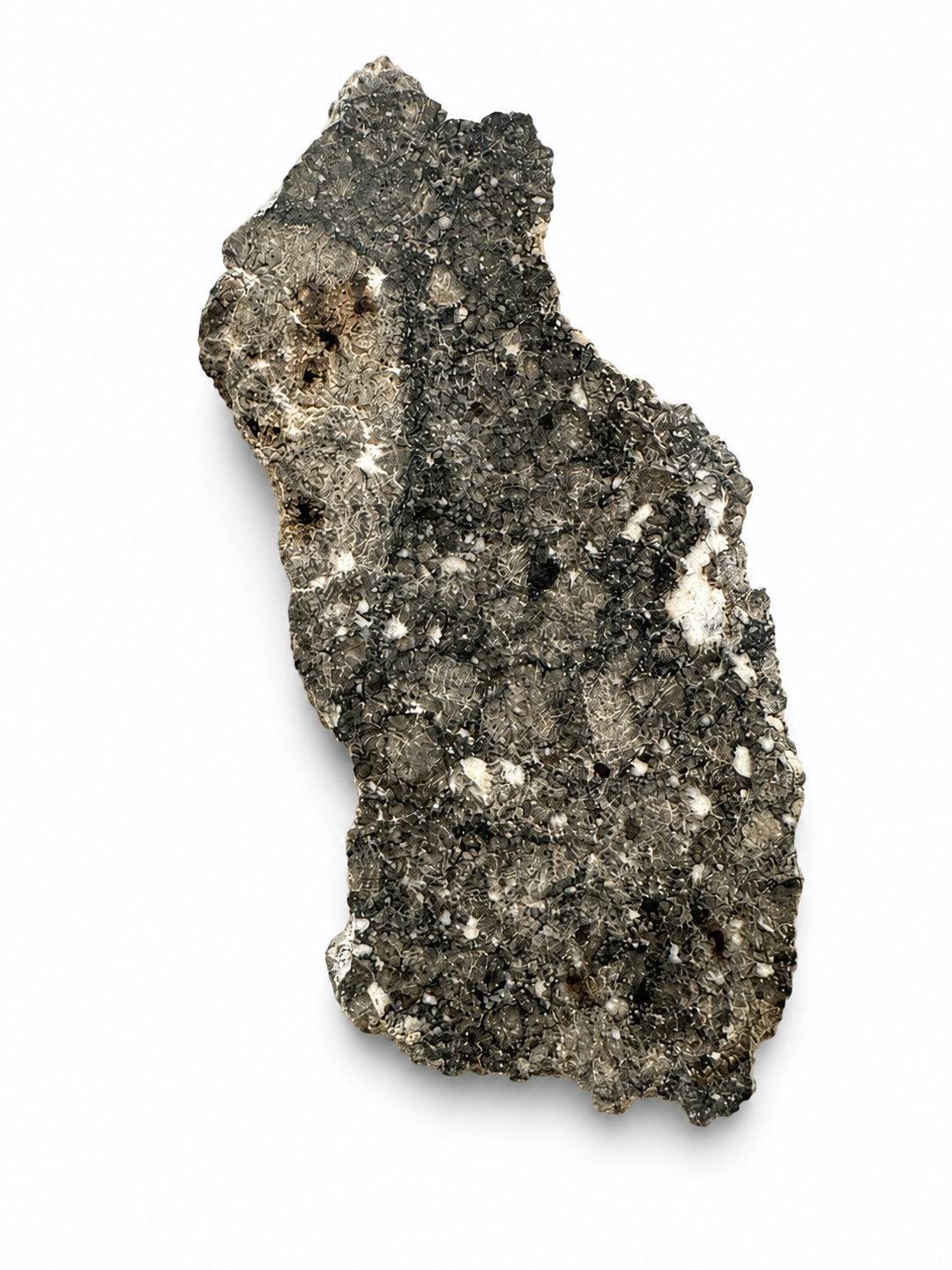 Exact Timimoun 002 diogenite slice showing natural crystalline texture.