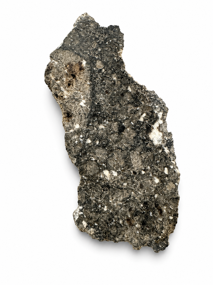 Exact Timimoun 002 diogenite slice showing natural crystalline texture.