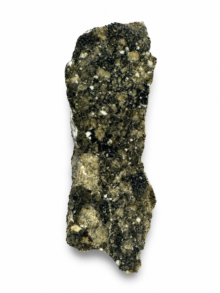 Genuine Timimoun 002 polished meteorite slice from Algeria.