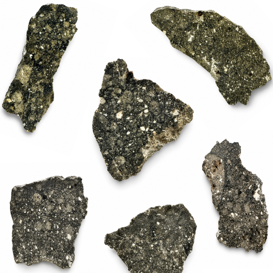 Polished Timimoun 002 diogenite meteorite  group on a white background.