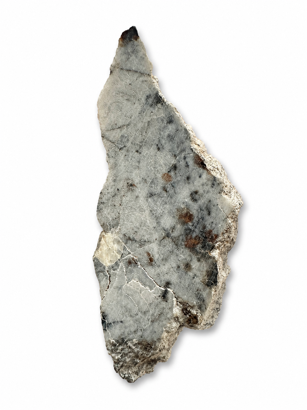 Exact Timimoun 003 Aubrite meteorite specimen photographed on a white background.