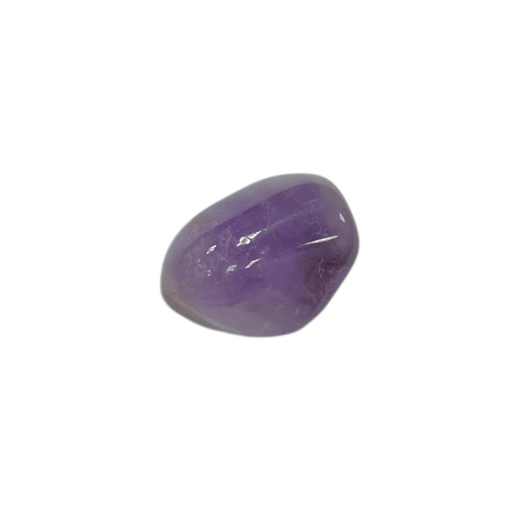 GeoFossils Pisces Zodiac Crystal Set – Amethyst Bracelet and Stones for Intuition, Protection and Emotional Healing