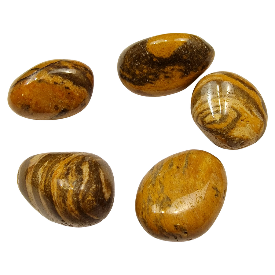 GeoFossils Cappuccino Jasper Tumble Stones – group of polished warm brown, cream and caramel