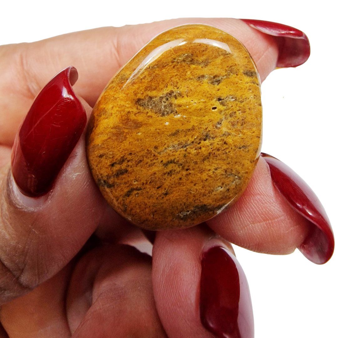 GeoFossils Cappuccino Jasper Tumble Stone – close-up showing detailed caramel, cream and brown patterning in polished jasper