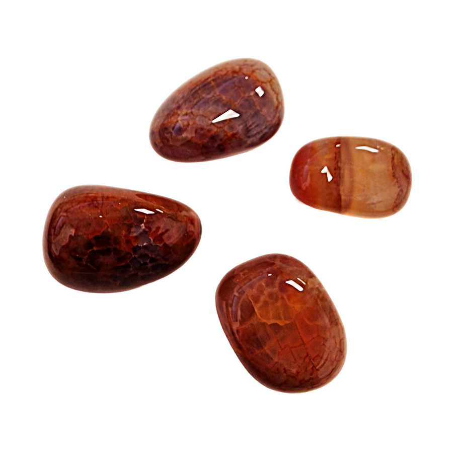 GeoFossils Fired Agate (Crab Agate) Tumble Stones – group of polished agates with fiery crackled patterns