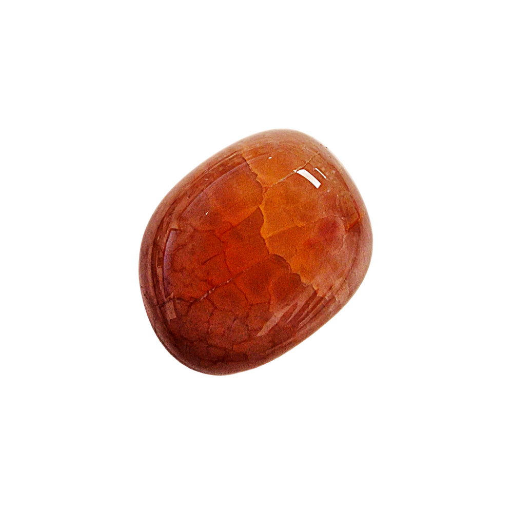 GeoFossils Crab Agate Tumble Stone – close-up of polished crystal showing snakeskin effect
