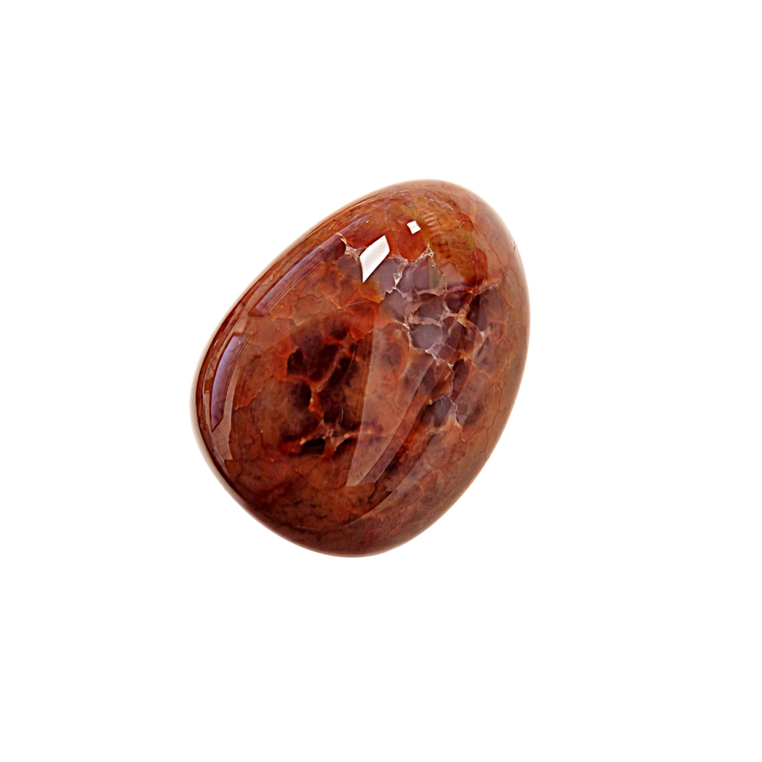 GeoFossils Fired Agate (Crab Agate) Tumble Stone – single polished agate with vibrant orange-red tones