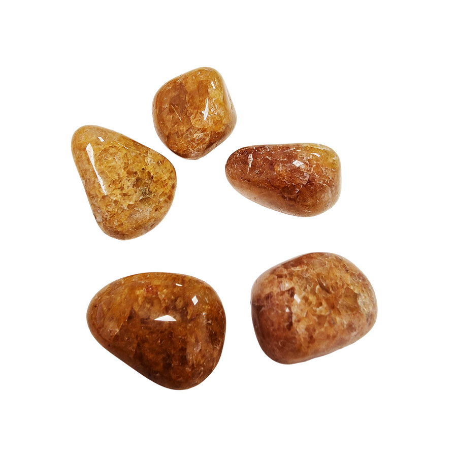 GeoFossils Golden Healer Tumble Stones – group of polished golden quartz crystals with warm hues