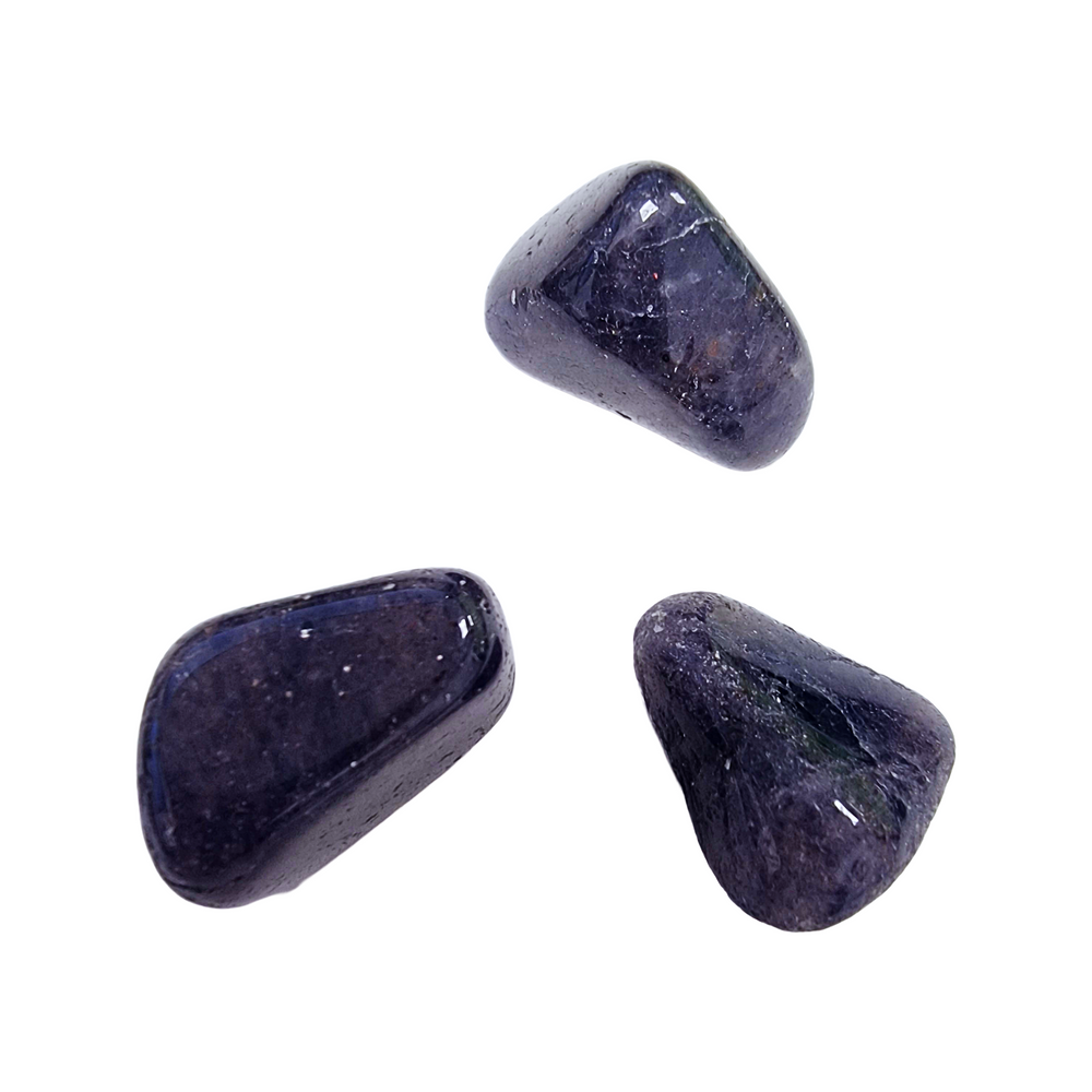 GeoFossils Iolite Tumble Stone – Group of 18-22mm polished pleochroic crystal showing blue-violet shimmer