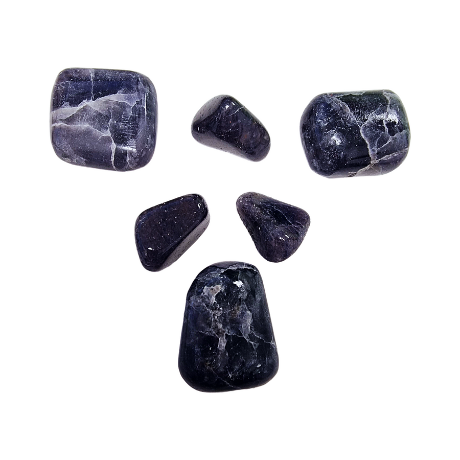 GeoFossils Iolite Tumble Stones – group of polished violet-blue cordierite crystals