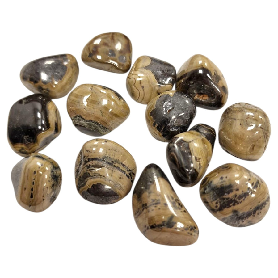 Schalenblende Tumble Stone – The Ultimate Grounding Gem – polished tumble stone for crystal healing and meditation