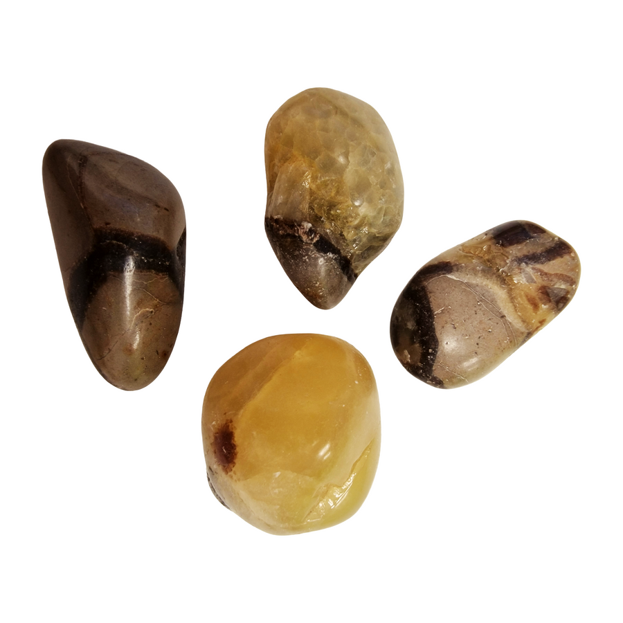 GeoFossils Septaria Tumble Stones – group of polished yellow, brown, and grey crystals with natural partitions