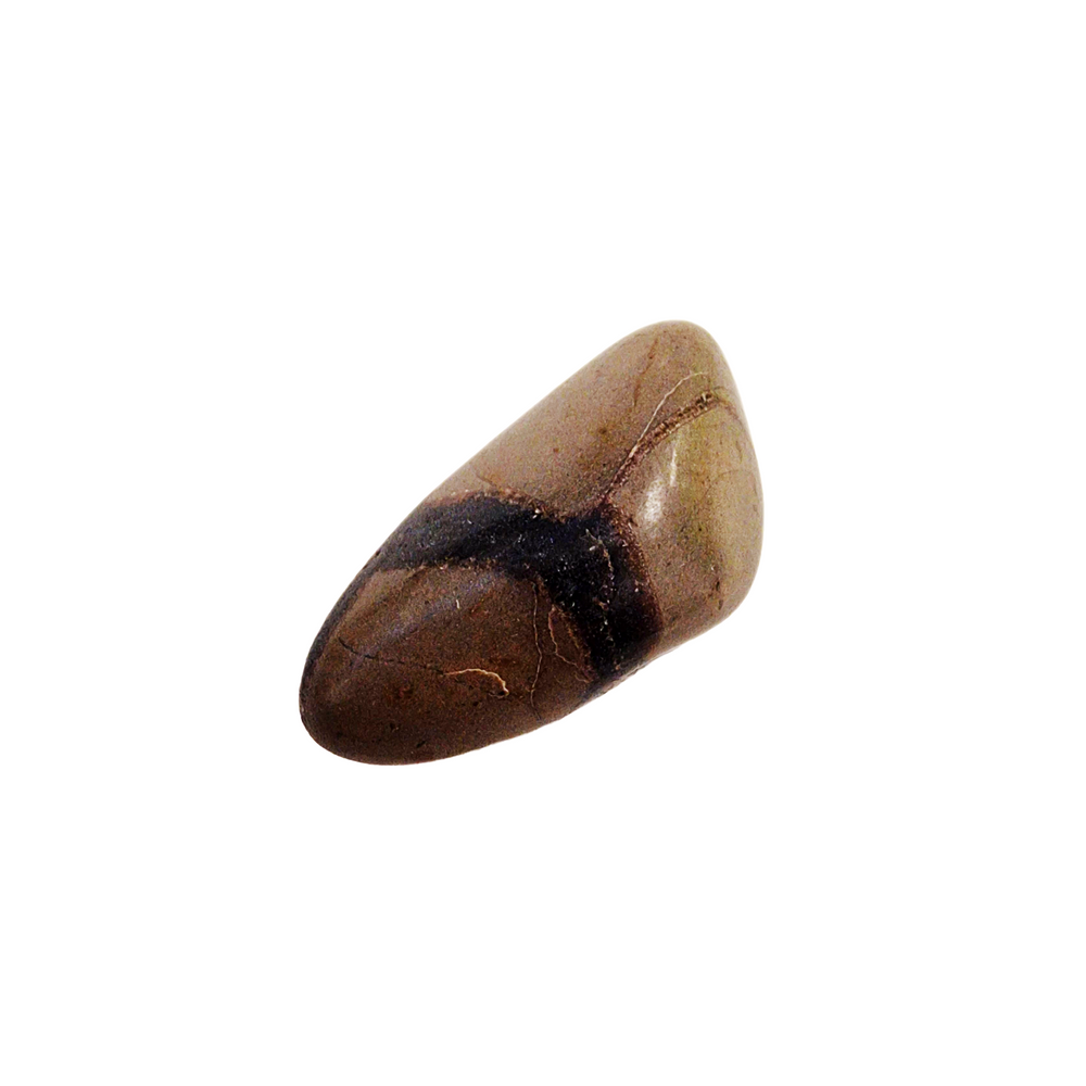 GeoFossils Septaria Tumble Stone – single polished concretion with dragon stone patterns