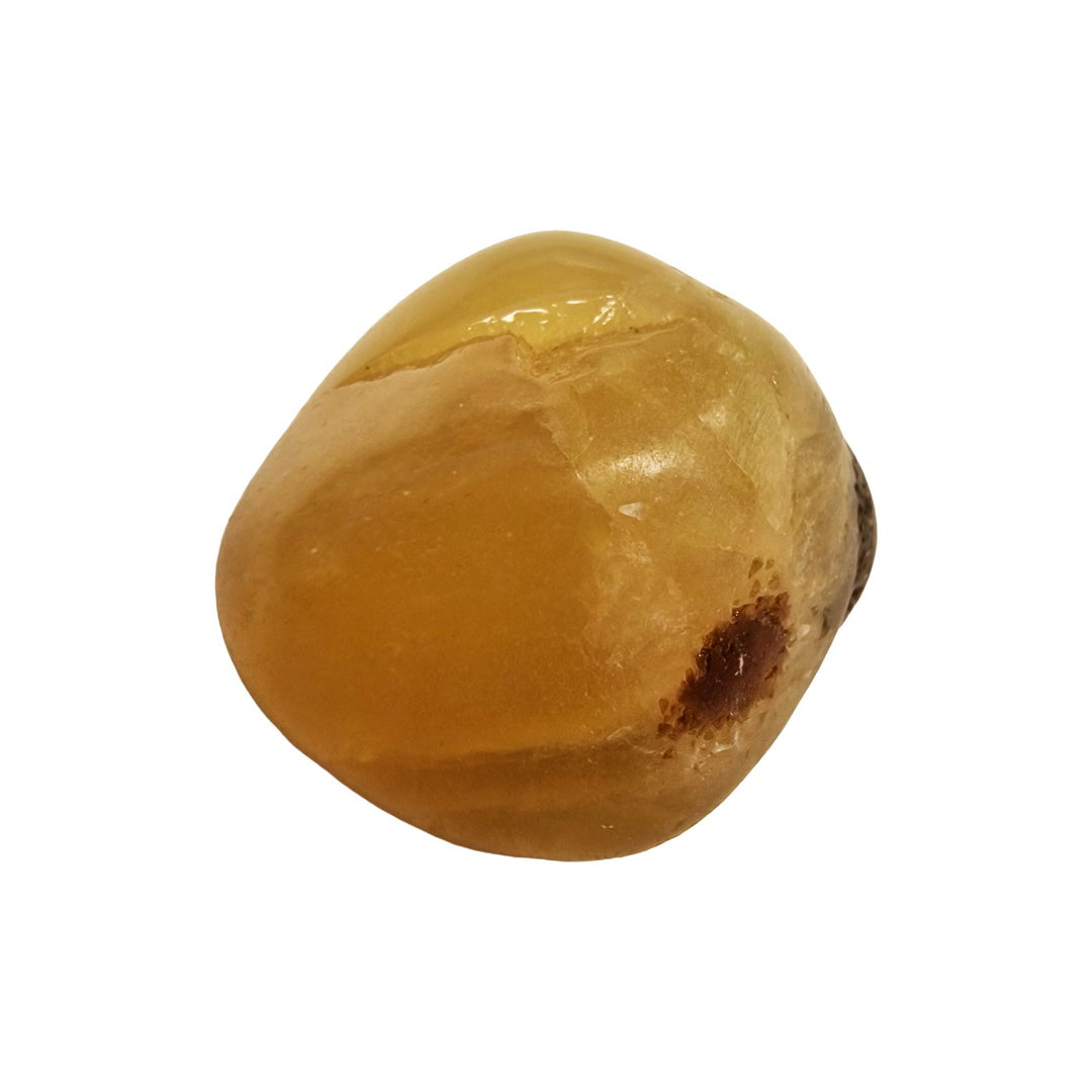 GeoFossils Septaria Tumble Stone – close-up of polished septaria showing natural earthy cracks and colours