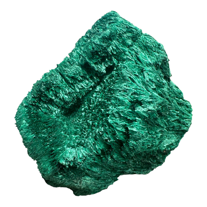 Premium Velvet Malachite specimen from the Democratic Republic of Congo featuring dense fibrous crystal growth and rich emerald-green colouration.