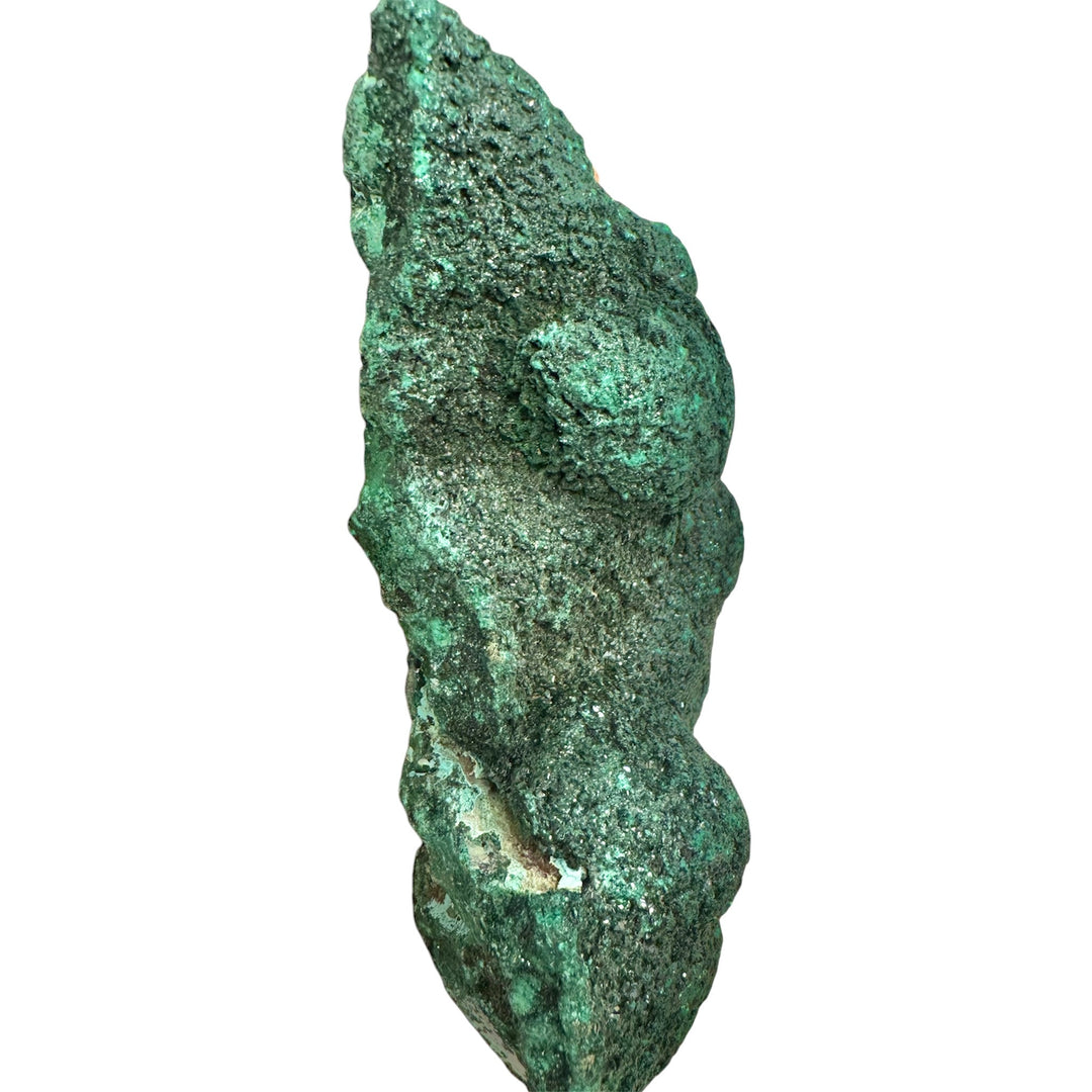 Collector-grade Velvet Malachite crystal with dense druzy surfaces and deep emerald-green botryoidal formations.