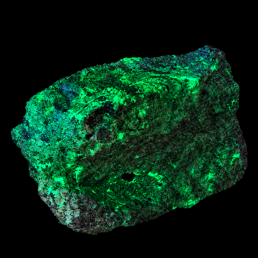 GeoFossils Willemite with Mangano Calcite Specimen 153 displaying green fluorescence under UV light