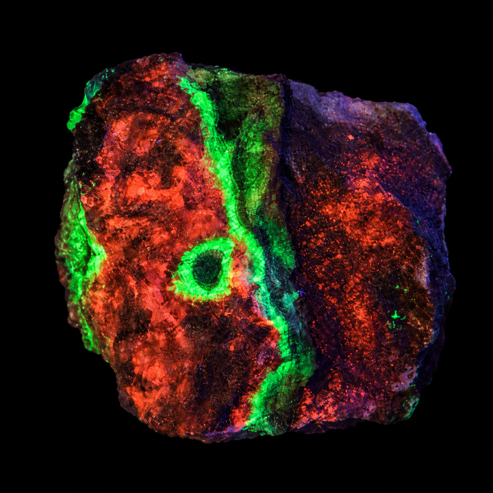 GeoFossils Willemite with Mangano Calcite Specimen 156 displaying orange fluorescence with a green fluorescent vein under UV ligh