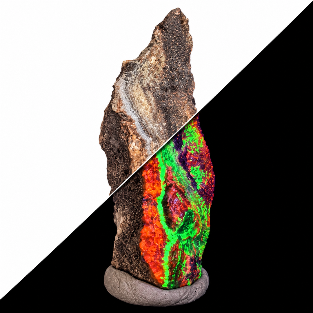GeoFossils Willemite with Mangano Calcite Specimen 157 comparing its natural appearance with orange and green fluorescence under UV light