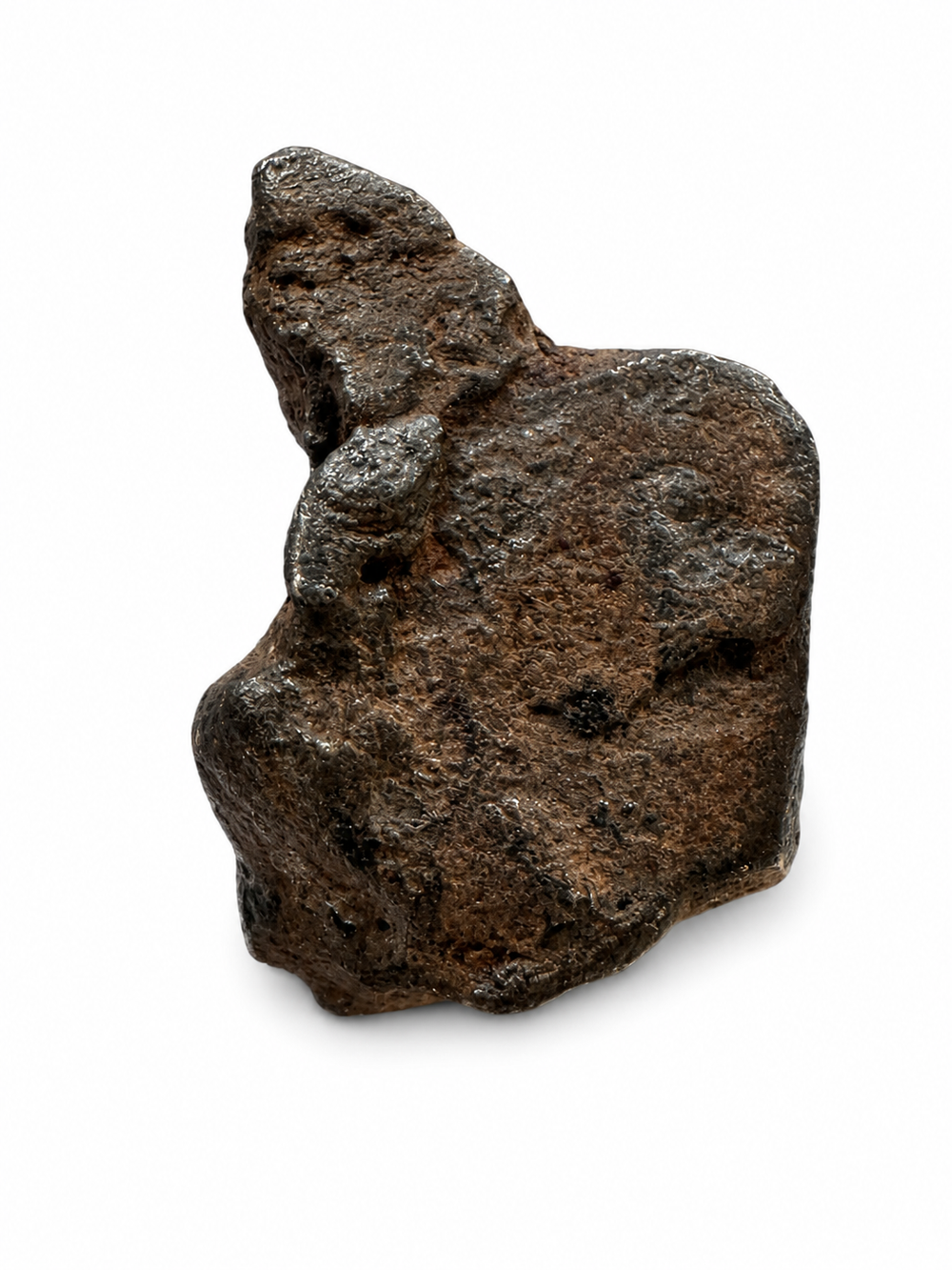 Exact raw Gibeon Iron Meteorite specimen photographed on a white background.