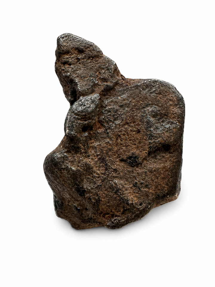 Exact raw Gibeon Iron Meteorite specimen photographed on a white background.