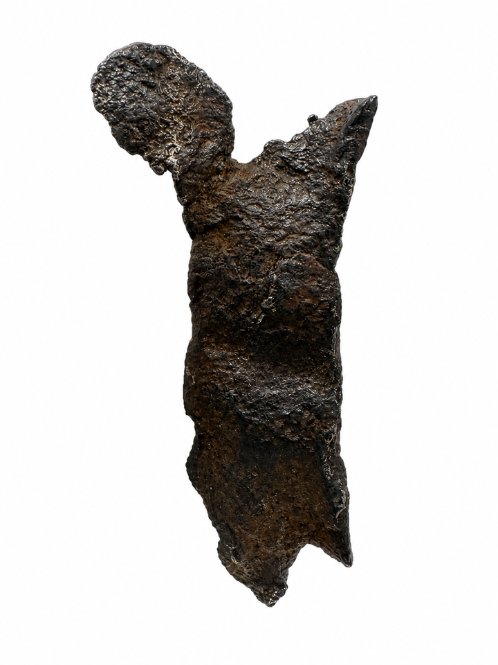 Exact raw Gibeon meteorite displaying its natural nickel-iron composition and weathered exterior.