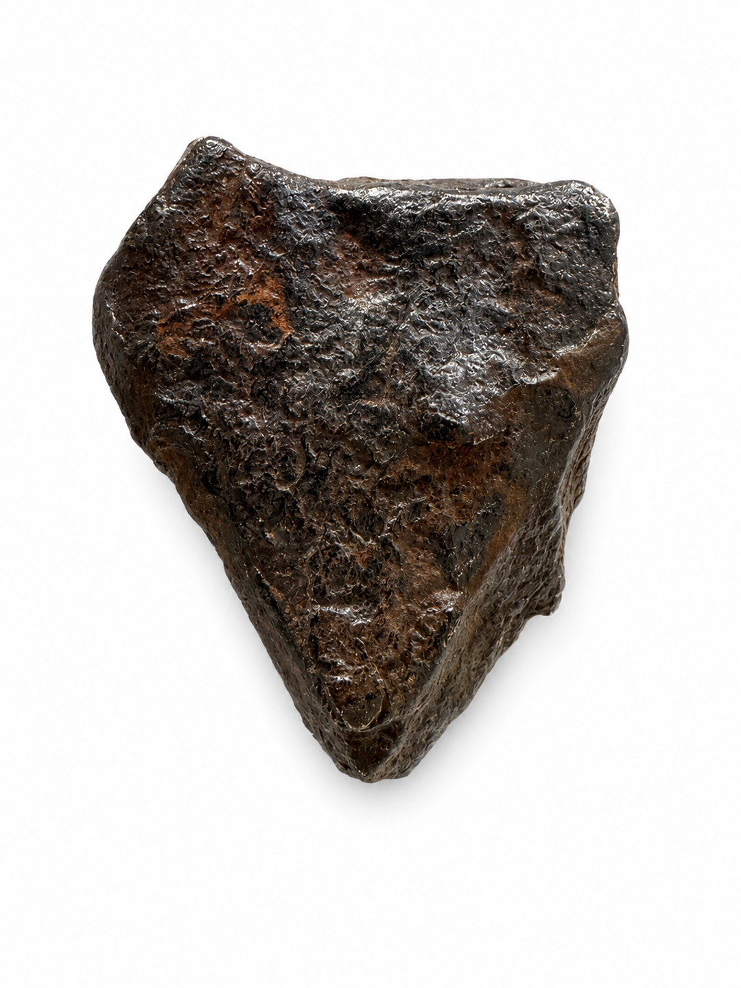 Exact Gibeon Iron Meteorite specimen from Namibia showing its natural geological texture and surface features.