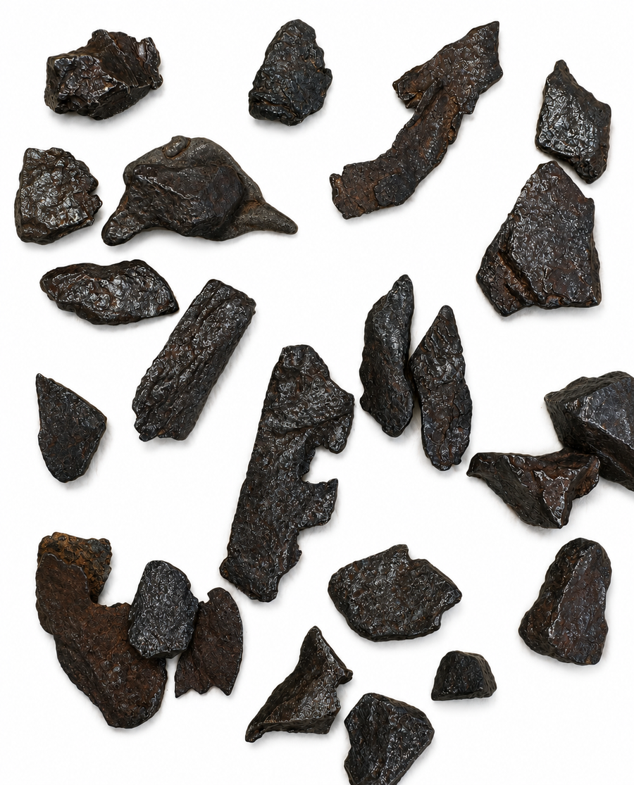 Raw Gibeon Iron Meteorite collection showing eight exact natural meteorite specimens from Namibia on a white background.