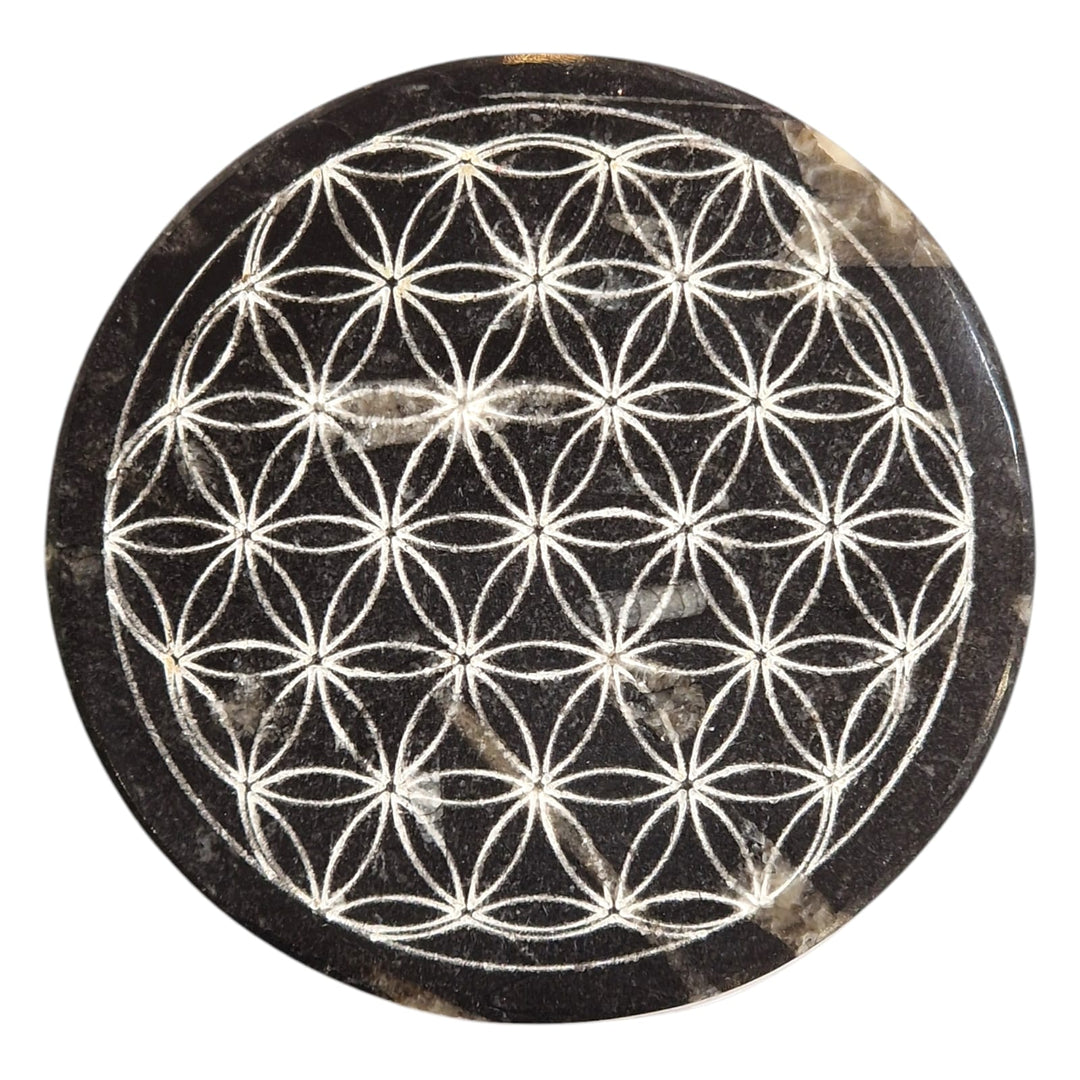 Orthoceras Flower of Life Charging Disc – Round | Grounding, Ancient Wisdom, & Spiritually Harmonising – Unique to GeoFossils
