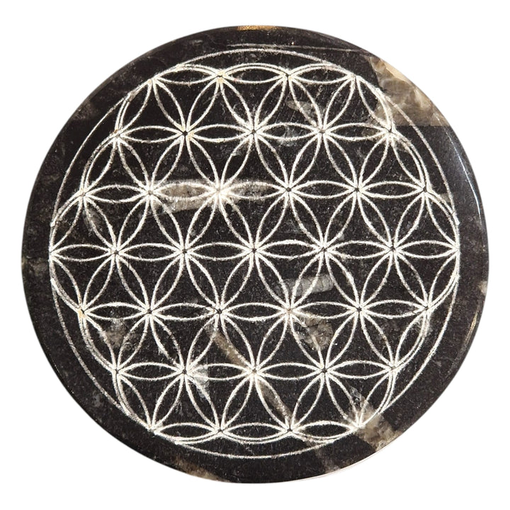 Orthoceras Flower of Life Charging Disc – Round | Grounding, Ancient Wisdom, & Spiritually Harmonising – Unique to GeoFossils