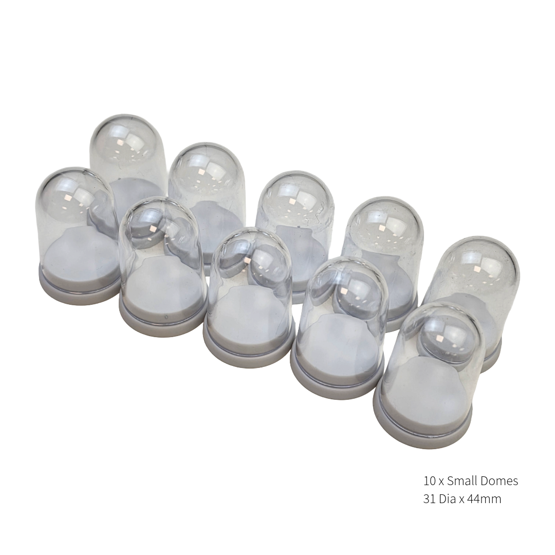 white Base Pack of 10 small plastic specimen display domes measuring 31mm by 44mm