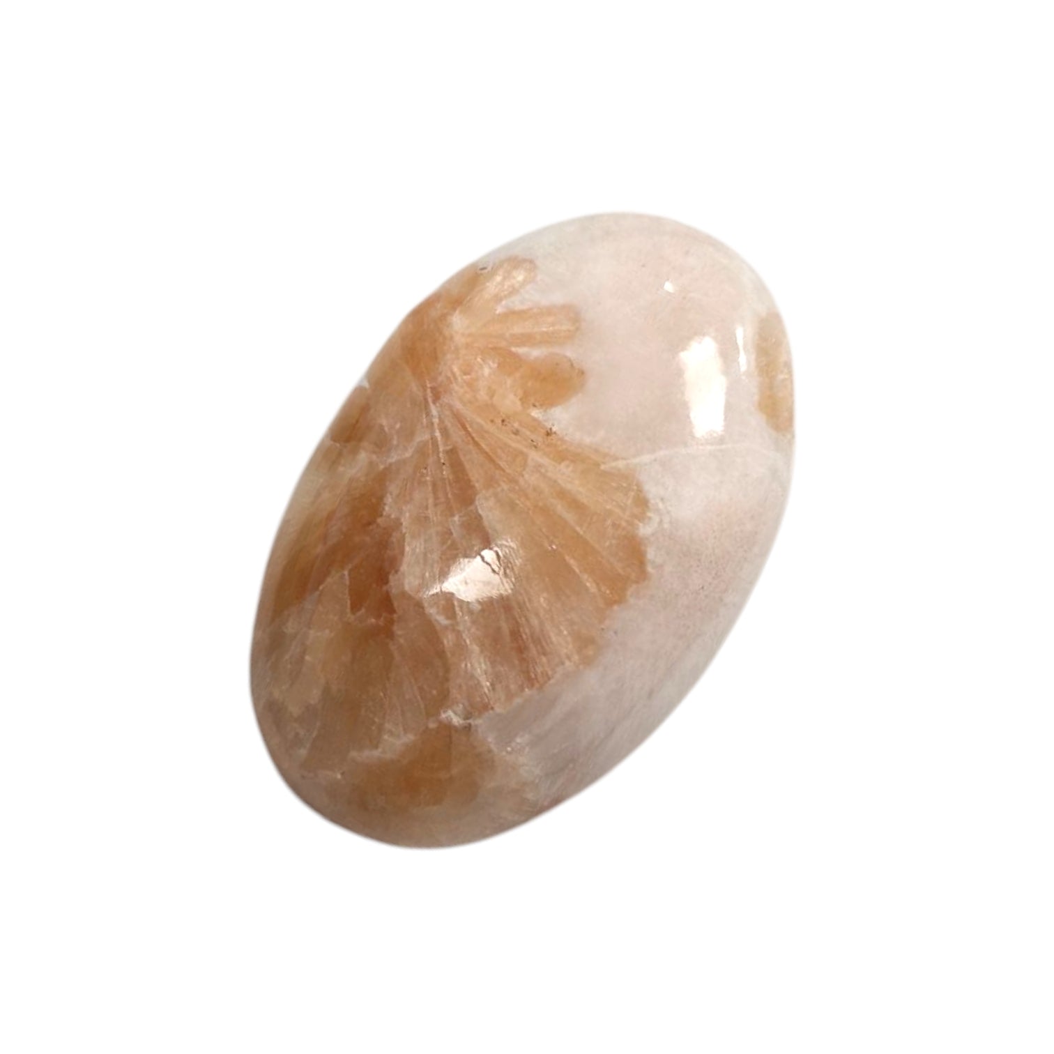 GeoFossils Scolecite & Stilbite Palm Stone (Small) – a soft blend of white and peach crystal for emotional healing and peaceful spiritual connection.