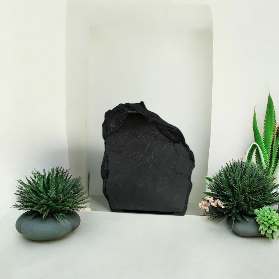 Decorative display of a large one-face polished shungite stone placed indoors with plants, used for home energy cleansing and EMF protection.