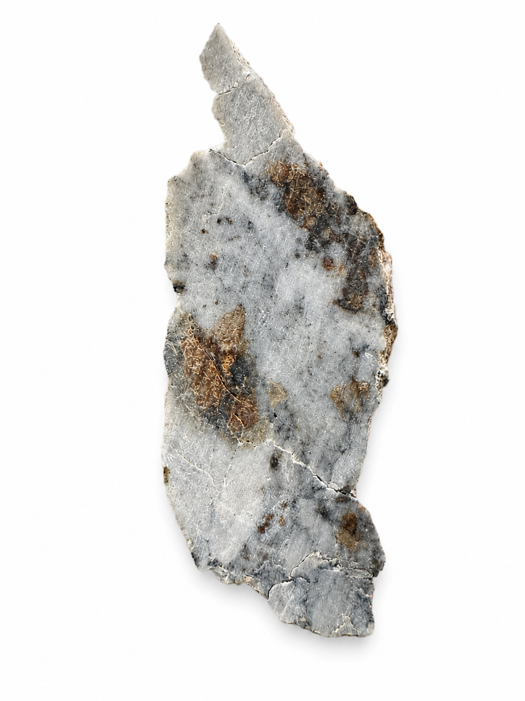 Exact Timimoun 003 Aubrite displaying its natural enstatite-rich composition and geological texture.