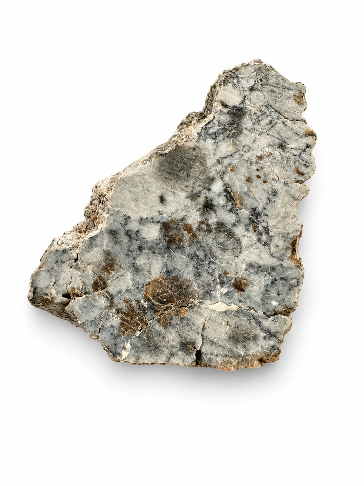 Collector-grade Timimoun 003 Aubrite meteorite photographed for exact purchase.