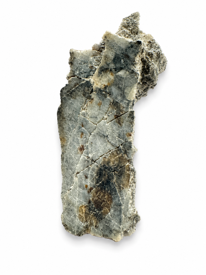 Exact Timimoun 003 Aubrite displaying its natural enstatite-rich composition and geological texture.
