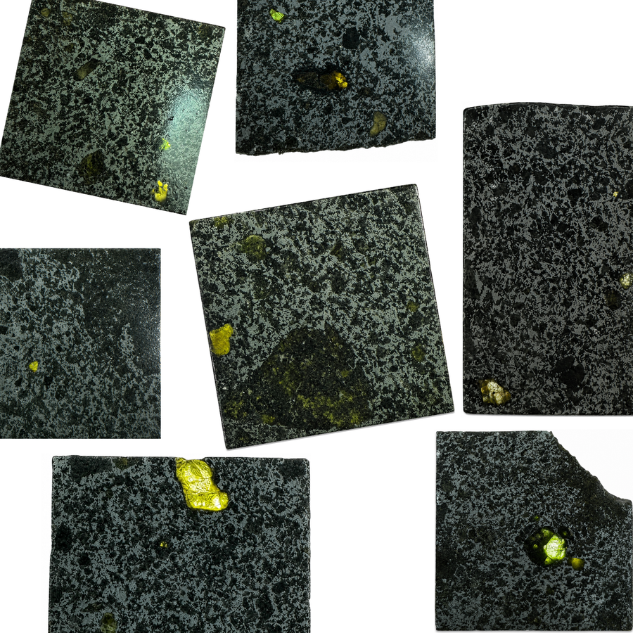 Tanezrouft 091 mesosiderite meteorite collection featuring seven individual polished specimens from Algeria displayed together on a white background.