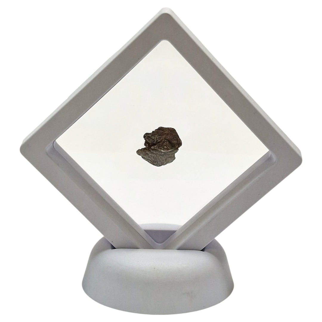 Campo del Cielo Meteorite – Medium Iron-Nickel Specimen
