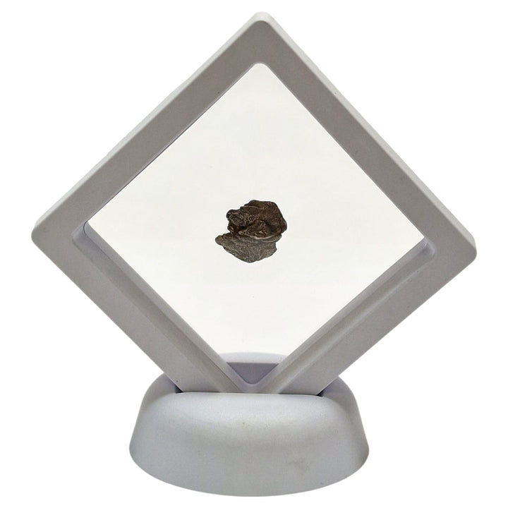 Campo del Cielo Meteorite – Medium Iron-Nickel Specimen