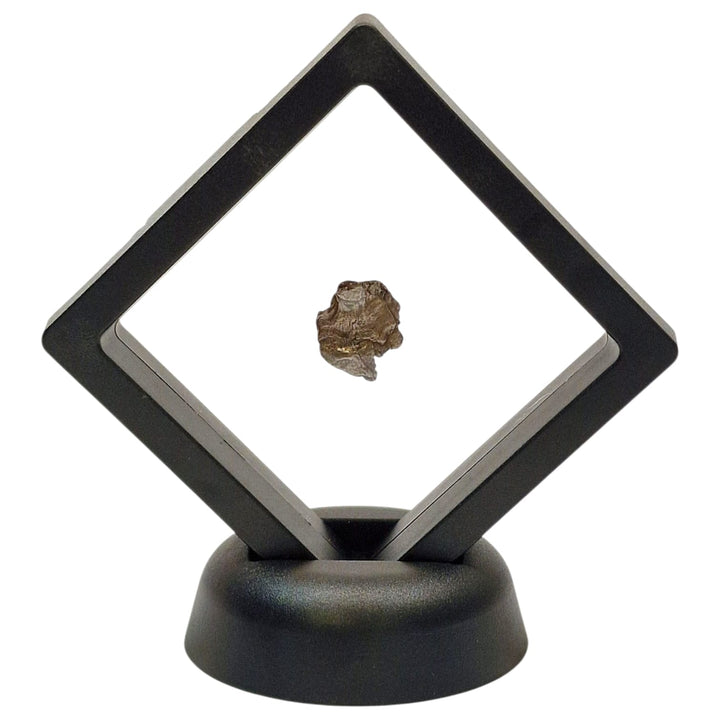 Campo del Cielo Meteorite – Medium Iron-Nickel Specimen