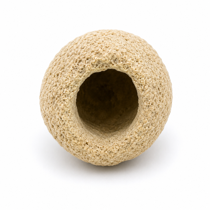 Rebuffoichnus guanche Trace Fossil Insect Chamber | Fossil Bee Nest | Fuerteventura Canary Islands